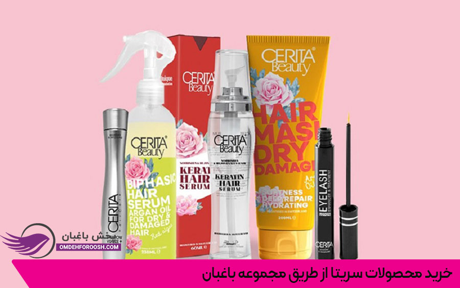 معرفی شرکت سریتا
